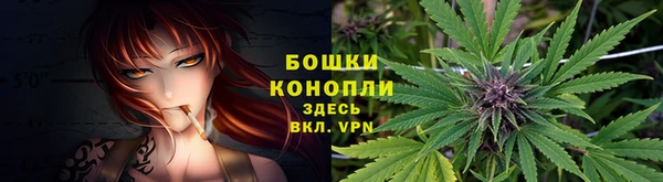 не бодяженный Белокуриха