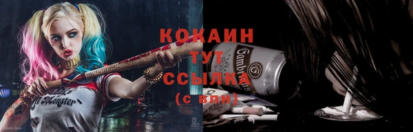 молекула духа Богородицк