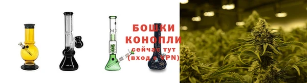 молекула духа Богородицк