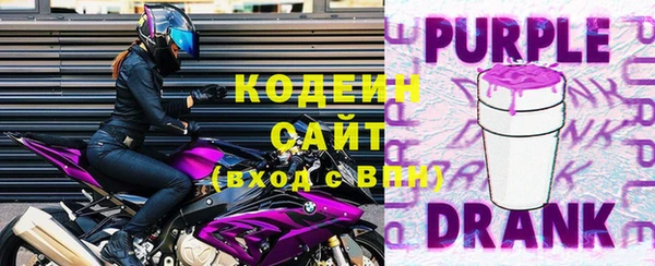 молекула духа Богородицк