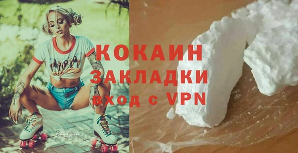 молекула духа Богородицк