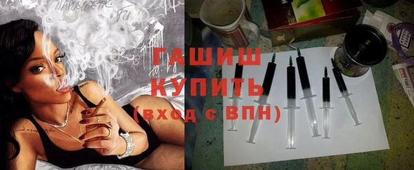 молекула духа Богородицк