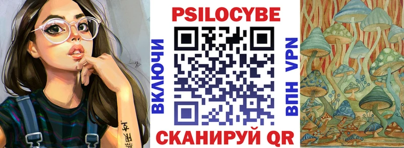 наркотики Дмитровск Псилоцибиновые грибы GOLDEN TEACHER